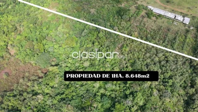 Propiedad de 1ha, 8.648m2 yataity - Capiatá — foto 3