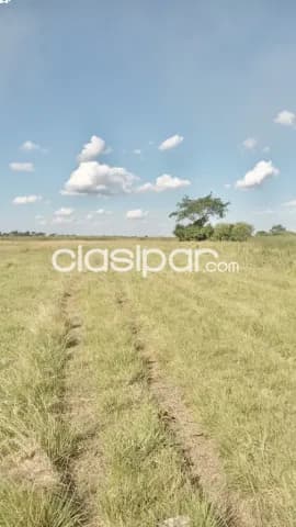 682 ha. Campo en villalbin - dpto. Ñeembucu — foto 5