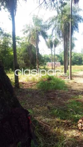 terreno en Itaugua — foto 4