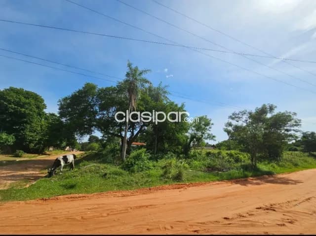 Terreno en limpio fraccion filadelfia cod 5293 — foto 5
