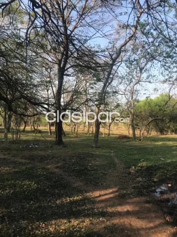 Tobati, arroyos y esteros: Quinta rural en venta, p/ gallinería, engorde y similares, foto 4