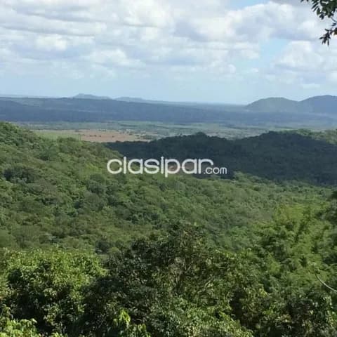 Hermosa propiedad de 10 has sobre ruta en mbatovi — foto 3