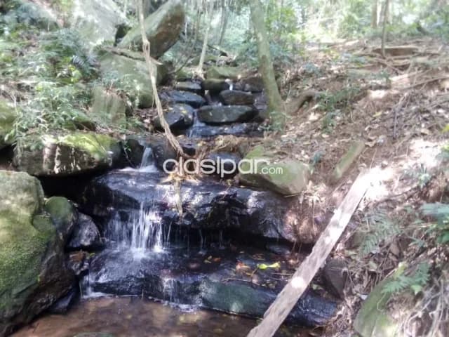 Hermosa propiedad de 10 has sobre ruta en mbatovi — foto 5