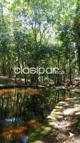Hermosa propiedad de 63 has en paraguari escobar