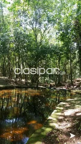 Hermosa propiedad de 63 has en paraguari escobar, foto 2