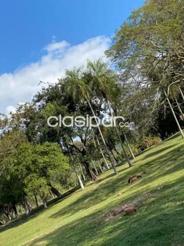 Hermosa propiedad de 63 has en paraguari escobar, foto 3