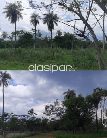 Terrenos en loma grande, foto 1