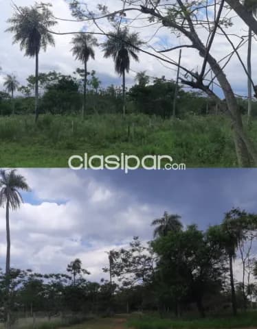 Terrenos en loma grande, foto 2
