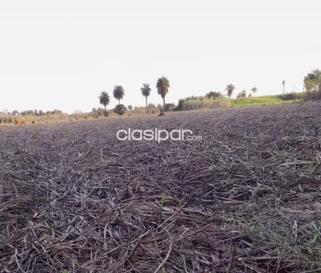Terreno Rural en Villeta sobre Ruta - 7 Ha — foto 1