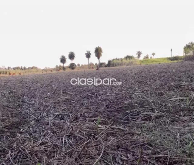 Terreno Rural en Villeta sobre Ruta - 7 Ha — foto 2