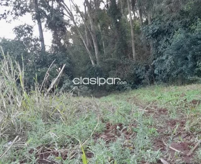 Terreno Rural en Villeta sobre Ruta - 7 Ha — foto 3