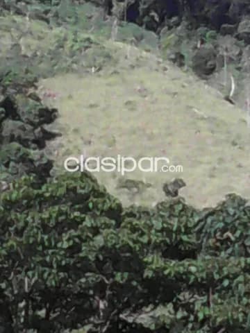 Guaira, cerro ybyturuzu: Maravillas 20 has, p/ loteamientos, arroyos, nacientes, cerros, foto 3