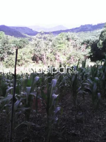 Guaira, cerro ybyturuzu: Maravillas 20 has, p/ loteamientos, arroyos, nacientes, cerros, foto 4