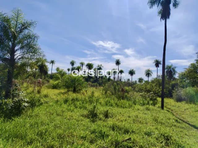 Terreno Rural en Piribebuy - 6 Ha — foto 5