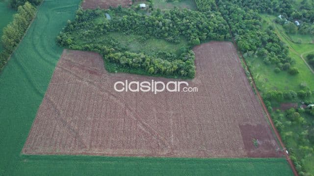 Terreno Agrícola Mecanizado en Hohenau - 6 Ha