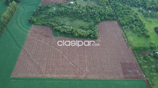 Terreno Agrícola Mecanizado en Hohenau - 6 Ha, foto 2