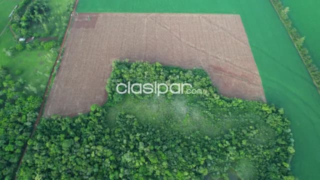 Terreno en hohenau de mas de 6 hectareas — foto 4