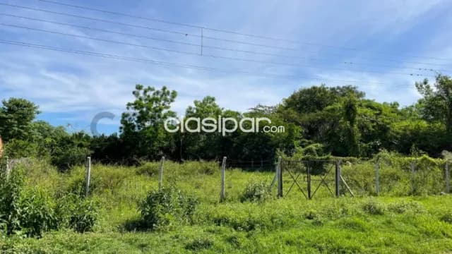 VENDE Terreno en Zarate Isla, Luque, foto 3