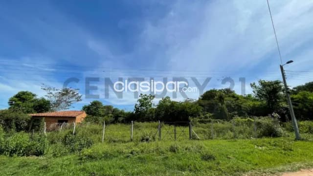 VENDE Terreno en Zarate Isla, Luque, foto 4