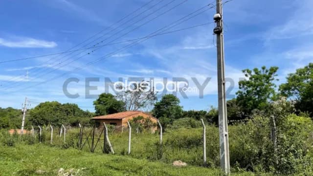 VENDE Terreno en Zarate Isla, Luque, foto 5
