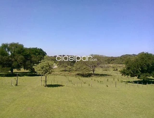Campo Ganadero en Luque - 52 Ha, foto 2