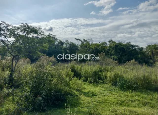 Campo Ganadero en Luque - 52 Ha, foto 4