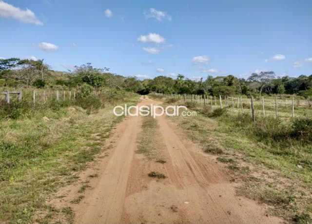 Campo Ganadero en Luque - 52 Ha, foto 5