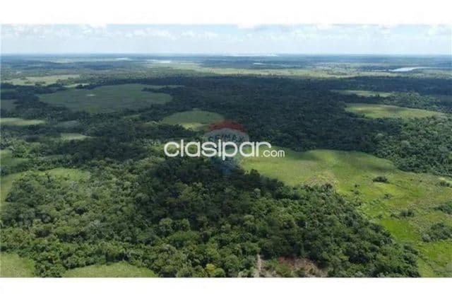 Campo 399 hectareas-quiñonez cue-san pedro dl ycuamandyyu-fertil p/agricul y ganader, foto 1