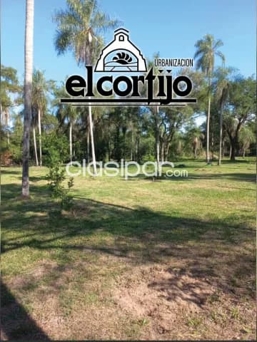 800m2 el cortijo, imponente terreno arbolado, conexion de agua, plano, alto, bello,unico!!, foto 4