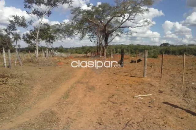 En venta 60 has en santa rosa — foto 4