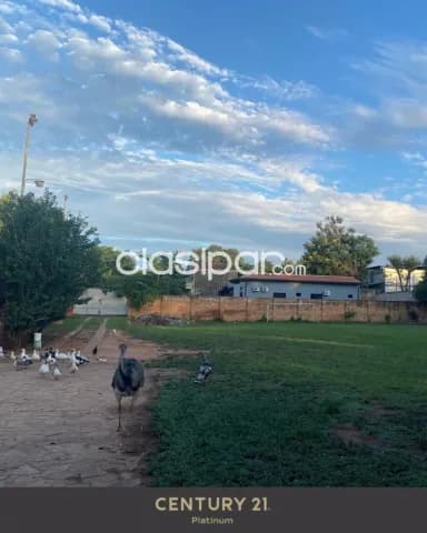 Terreno ideal para desarrollo inmobiliario en Mariano Roque Alonso, foto 4