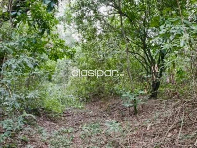 Terreno Rural sobre Ruta en Atyra - 9 Ha — foto 3