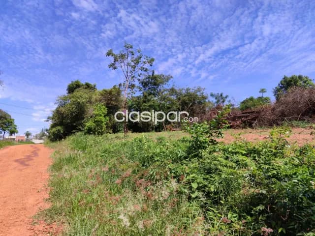 Tarumandy, Luque, camino sanber: 3 lotes multiuso, 360m2 c/u, ubicación ideal, foto 4
