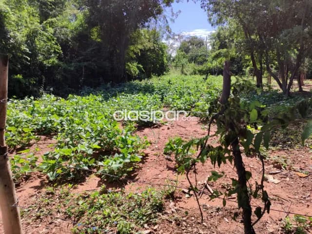 Tarumandy, Luque, camino sanber: 3 lotes multiuso, 360m2 c/u, ubicación ideal, foto 5