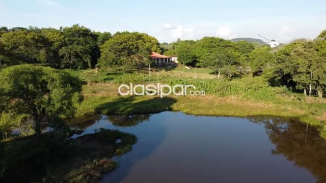 🌿 ¡Un paraíso natural en pleno Caacupé! adlerpy 391🌿, foto 3
