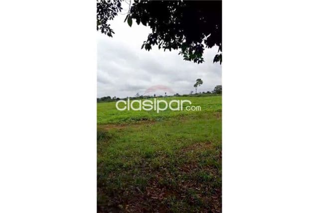 Campo de 12 has 9.690 mts.2 en curuguaty