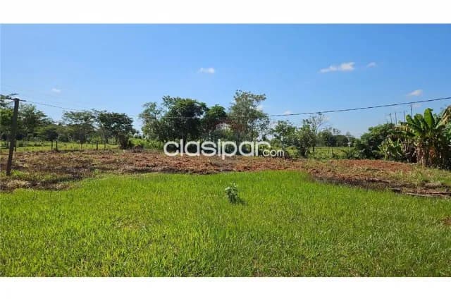 Campo de 12 has 9.690 mts.2 en curuguaty, foto 3