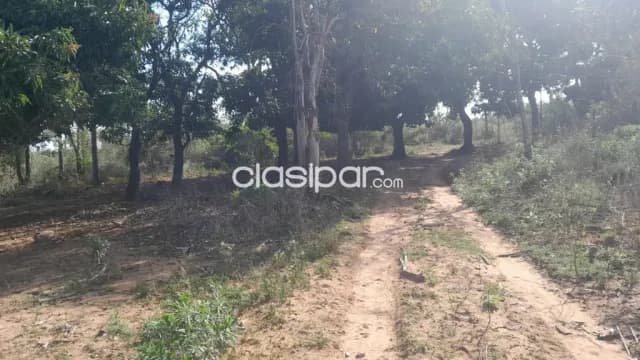 Emboscada, cordillera: 10 has ideales p/ canteras y bosques en estado natural — foto 2