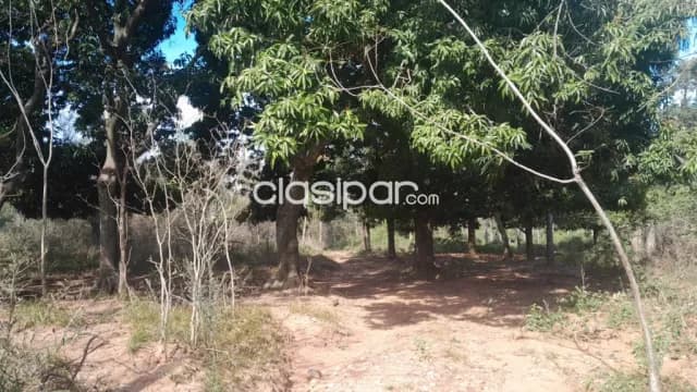 Emboscada, cordillera: 10 has ideales p/ canteras y bosques en estado natural — foto 3