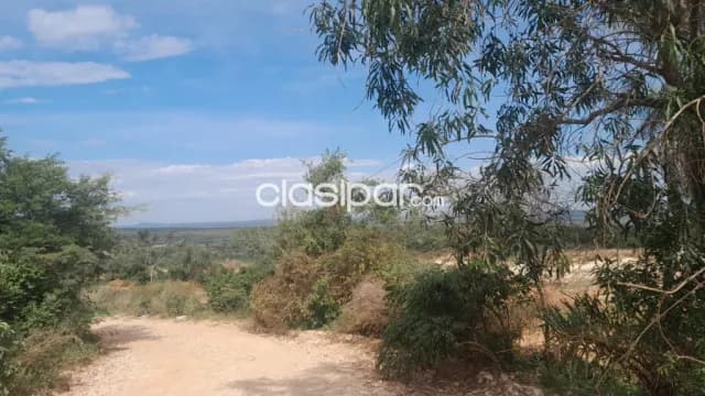 Emboscada, cordillera: 6 has, p/ explotación de canteras, prox. Ruta, 70.000.000 gs/ha, foto 4