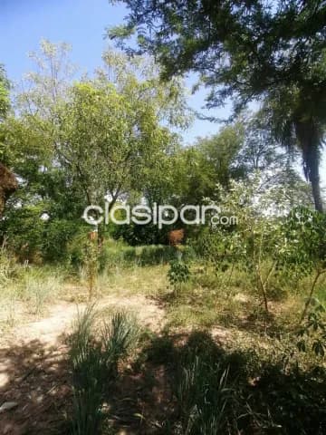 Terreno en limpio cod 5345, foto 5