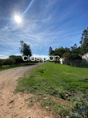 En venta 1050 hectareas en nueva italia, foto 3