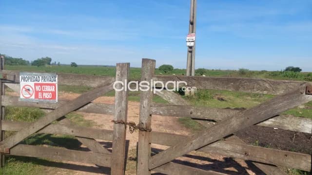 En venta 1050 hectareas en nueva italia, foto 4