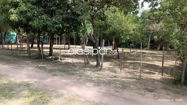 Terreno en limpio zona piquete cue cod 5451, foto 4