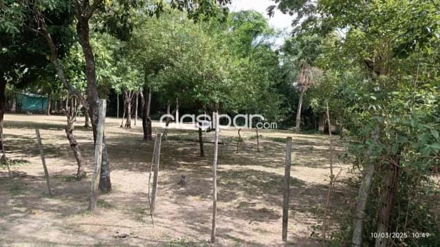 Terreno en limpio zona piquete cue cod 5451, foto 5