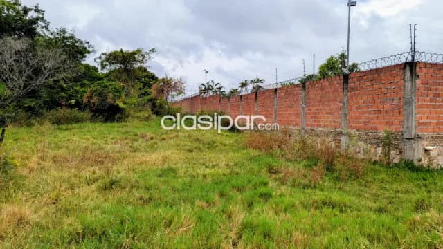 Terreno en mora kue - Luque — foto 2