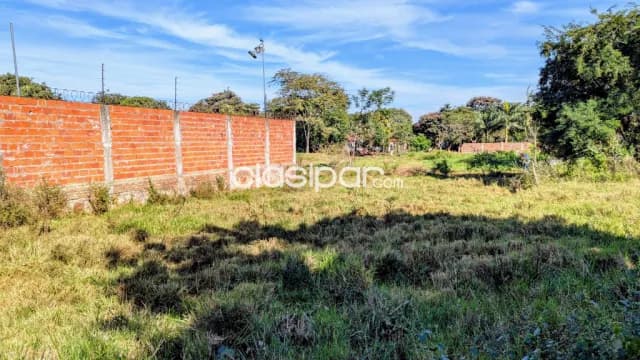 Terreno en mora kue - Luque — foto 3