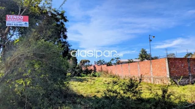 Terreno en mora kue - Luque — foto 4