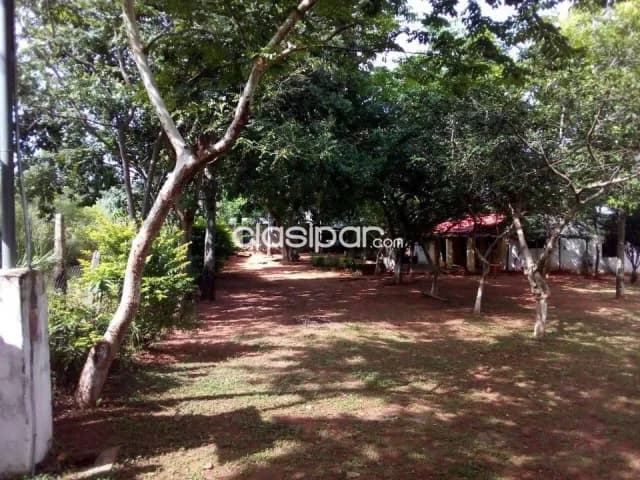 Quiindy, paraguarí: Oportunidad única! Granja quinta, 10 has, 2 casas, en funcionamiento, foto 2