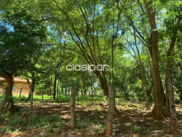Terreno en limpio salado cod 5387 — foto 1